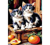 Puzzles 500 Pieces for Adults jigsaw puzzles for adults 500 Piece Educational Challenge Games Decoration puzzle - Animal Cat Fruit