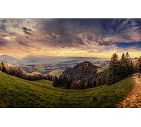 puzzles 500 pieces,natural beauty,fields,switzerland 52x38CM