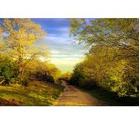 Puzzles for 1000 Piece Impossible Puzzle for Adults Educational Games Gifts for Men,Natural Scenery,Road 50x70CM