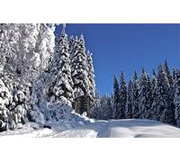 Puzzles for 1000 Piece Impossible Puzzle for Adults Educational Games Gifts for Men,Natural Scenery,Road 50x70CM
