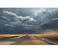 Puzzles for 1000 Piece Impossible Puzzle for Adults Educational Games Gifts for Men,Natural Scenery,Road,Field 50x70CM