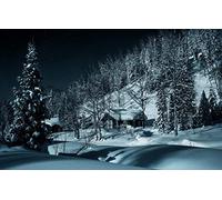Puzzles for 1000 Piece Impossible Puzzle for Adults Educational GamesNatural Scenery,Forest,snowdrifts,Russia,Siberia 50x70CM