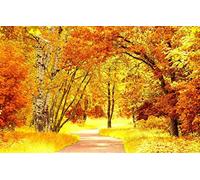Puzzles for 1000 Piece Impossible Puzzle for Adults Educational GamesNatural Scenery,Road 38x52CM