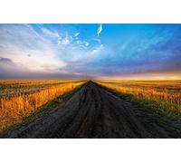 Puzzles for 1000 Piece Impossible Puzzle for Adults Educational GamesNatural Scenery,Road 50x70CM