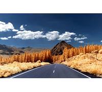 Puzzles for 1000 Piece Impossible Puzzle for Adults Educational GamesNatural Scenery,Road,Mountain 50x70CM