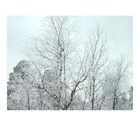 Puzzles for 1500 Piece Impossible Puzzle for Adults-Branches,Trees,Crones,Snow,Hoarfrost 87x57cm