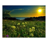 Puzzles for 1500 Piece Impossible Puzzle for Adults-Dandelions,evening,light 87x57cm