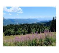 Puzzles for 1500 Piece Impossible Puzzle for Adults-Flowers,mountains,forests 87x57cm