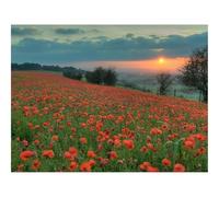 Puzzles for 1500 Piece Impossible Puzzle for Adults-Footpath,flowers,trees 87x57cm