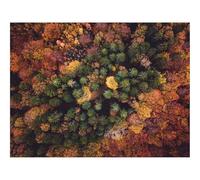 Puzzles for 1500 Piece Impossible Puzzle for Adults-forests,aerial,view,autumn 87x57cm