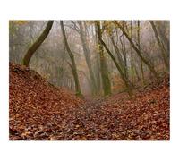 Puzzles for 1500 Piece Impossible Puzzle for Adults-forests,trees,autumn 87x57cm