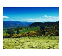Puzzles for 1500 Piece Impossible Puzzle for Adults-Grass,distance,sky 87x57cm
