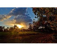 Puzzles for 2000 Piece Impossible Puzzle for Adults Educational Games Gifts for Men,Natural Scenery,Road,Sunset 70x100CM