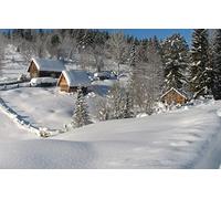 Puzzles for 2000 Piece Impossible Puzzle for Adults Educational Games NuGifts for Men,Natural Scenery 70x100CM