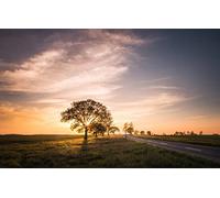 Puzzles for 2000 Piece Impossible Puzzle for Adults Educational GamesNatural Scenery,Road,Field,Sunset 70x100CM