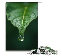Puzzles for Adults 1000 Piece Crystal Clear Water Drops Falling from The Leaf Tip Jigsaw Birthday Present Gifts for And Teenager Age 14 Years Up 1000 PCS(38x26cm)