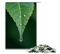 Puzzles for Adults 1000 Piece Crystal Clear Water Drops Falling from The Leaf Tip Pattern Assembly Help The Brain Exercise Addictive Toys to Cultivate Patience 1000 PCS(75x50cm)