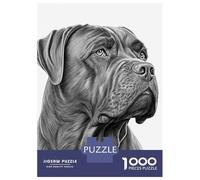 Puzzles for Adults 1000 Piece Dino Baseball Classic 37 Puzzle for Adults Relaxing Games Staycation Kill Time Unique Birthday And Xmas Gifts 38x26cm/1000pcs