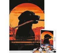 Puzzles for Adults 1000 Piece Golden Retriever at Sunset Educational Toy Birthday Gift for Educational Game Enhance Love between Couples Size 38x26cm