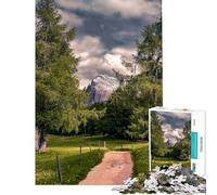 Puzzles for Adults 1000 Piece Mountain Path Through Trees Jigsaws for Adults Toy Wall Decor Presents for Women Unique Birthday And Xmas Gifts (Size 38x52cm)