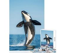 Puzzles for Adults 1000 Piece Orca Whale Jump Out Water Jigsaws for Adults Puzzle Staycation Kill Time for Birthday, Chrismas Birthday And Unique Gifts (38x52cm)