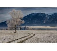 puzzles for adults 1000 Piece Puzzle Challenging Game for The Whole for Women Gifts for Men,Natural Scenery,Mountains,Germany 50x70CM
