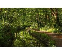 puzzles for adults 1000 Piece Puzzle Challenging Game for The Whole for Women Gifts for MenNatural Scenery,Forest,River,England,West Devon 38x52CM