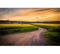 puzzles for adults 1000 Piece Puzzle Challenging Game for The Whole for Women Gifts for MenNatural Scenery,Road,Field,Sunset 38x52CM