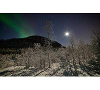 puzzles for adults 1000 Piece Puzzle Educational Games Home Decoration Gifts for Men,Natural Scenery,Forest,Stars,Mountains,Night,Moon,Northern Lights,Norway 26x38CM