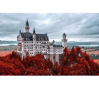 puzzles for adults 1000 Piece Puzzle Educational Games Home Decoration Gifts for Men,Natural Scenery,Castle,Germany,Mountains,Neuschwanstein Castle,Alps 26x38CM