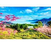 puzzles for adults 1000 Piece Puzzle Educational Games Home Decoration Gifts for MenNatural Scenery,Clouds,Mountains,Cherry Blossoms,China,Taiwan 26x38CM