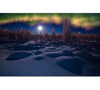puzzles for adults 1000 Piece Puzzle Educational GamesNight,Northern Lights,snowdrifts 26x38CM