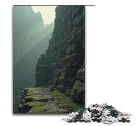Puzzles for Adults 1000 Piece Wild Grass Covered The Old Stone Wall Pattern Assembly Help The Brain Exercise Addictive Toys to Cultivate Patience 1000 PCS(38x26cm)