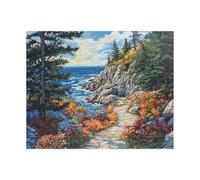 Puzzles For Adults 1000 Pieces - Acadia National Park Jigsaw Puzzle, Brain Teaser Fun Game
