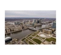 Puzzles for Adults 1000 Pieces Aerial Perspective Cedar Rapids Iowa Urban Waterfront Wooden Jigsaw Puzzles Challenging Fun Family Game Gifts Toy for Kids Seniors Party Boys Girls