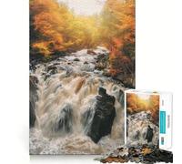 Puzzles for Adults 1000 Pieces Black Linn Falls Hermitage Tight Cut Fun, Smart Brain Activity, Leisure Fun Time, Birthday Hobby Gift (50x75cm)