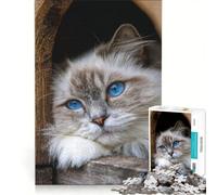 Puzzles for Adults 1000 Pieces Blue-Eyed Cute White Cat, Hands-on Game, Parent-child Interaction, Unique Gifts for Birthday And Christmas 50x75cm