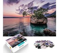 puzzles for adults 1000 pieces Rocky Sea Beach Made of cardboard Suitable for people aged 14 and above Stress Relief Toys Birthday gift。size：26x38cm/10.24x14.96inch
