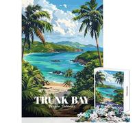 Puzzles for Adults 1000 Pieces Trunk Bay, Virgin Islands Illustration Educational Games Staycation Kill Time Anti-Stress Toys for Birthday, Chrismas (38X26cm)