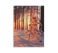 Puzzles for Adults 1000 Pieces，Warm sunbeams, light & shadow in the cold winter forest，Challenging Puzzle as Home Wall Art（75x50cm）-AP13