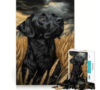 Puzzles for Adults 1000 Puzzles Black Lab in Wheat Field Tight Cut Fun, Focus Building Toy, Leisure Fun Time, Birthday Art Play (38x26cm)