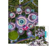 Puzzles for Adults 1000 Puzzles Singapore Adult Jigsaw Puzzles Improve Memory Help The Brain Exercise for Is Ideal As A Gifts (Size 38x26cm)