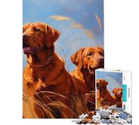 Puzzles for Adults 1000 Puzzles Two Fox Red Labradors Fun Games for Educational Game Challenge Toy Great Gifts And Toys Wall Art (Size 38x26cm)