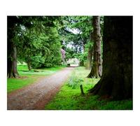 Puzzles for Adults 1500 Pieces-Branches,tree,fragments 87x57cm