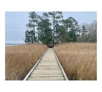 Puzzles for Adults 1500 Pieces-Bridge,Swamp,Grass,Trees,Nature 87x57cm