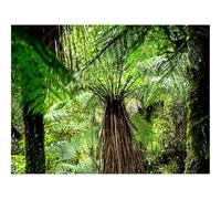 Puzzles for Adults 1500 Pieces-Fern,Branches,Trees,Jungle 87x57cm