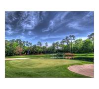 Puzzles for Adults 1500 Pieces-Field,golf,course,trees 87x57cm