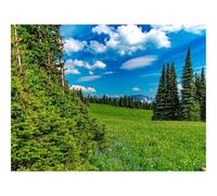 Puzzles for Adults 1500 Pieces-Field,trees,mountains 87x57cm