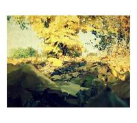 Puzzles for Adults 1500 Pieces-Foliage,Autumn,Maple,Lots,Grass,Tree 87x57cm