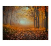 Puzzles for Adults 1500 Pieces-forests,fog,autumn 87x57cm